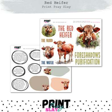 Red Heifer