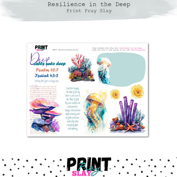 Resilience in the Deep
