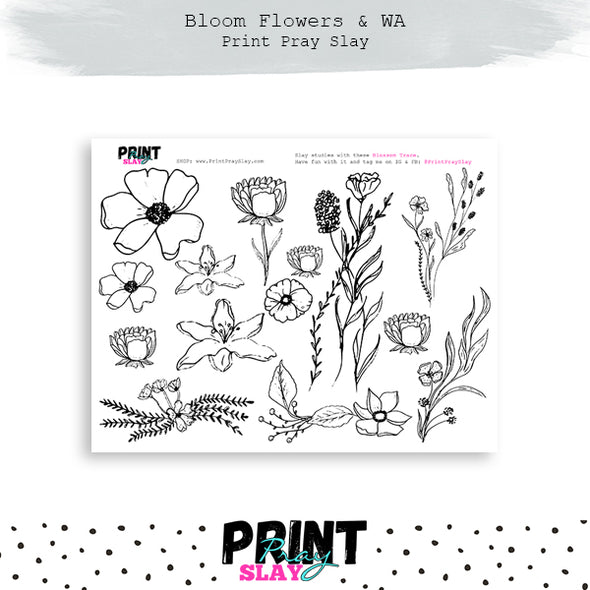 Bloom Flowers