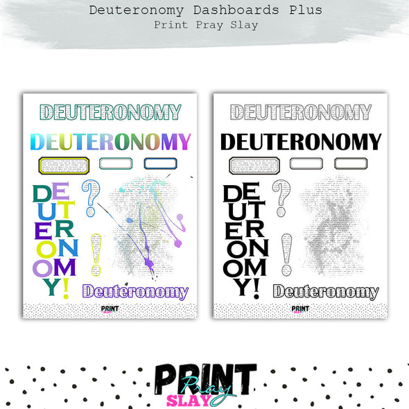 Deuteronomy Dashboards Plus