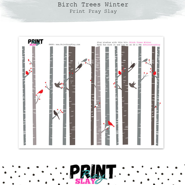 Winter Birch Trees