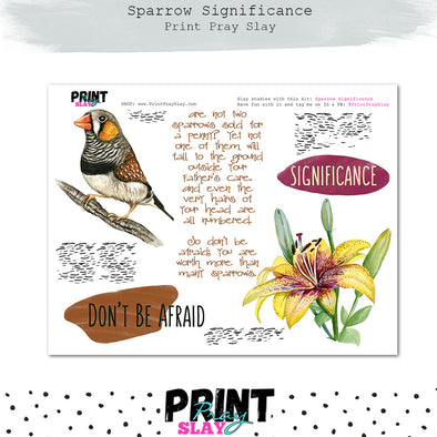 Sparrow Significance – Print Pray Slay