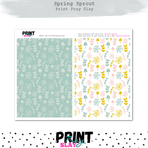 Spring Sprout