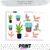 Florals PPUSC