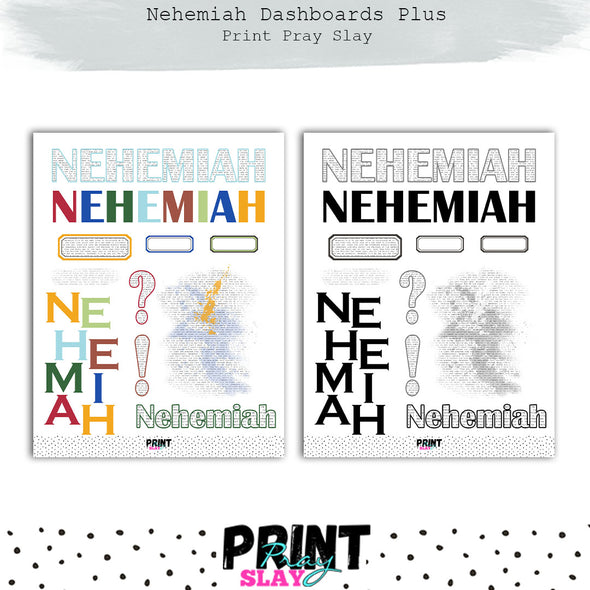 Nehemiah Dashboards Plus